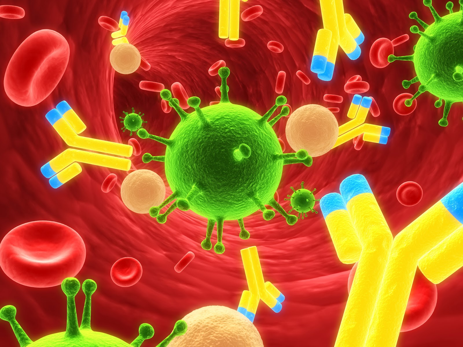 Immunology Image