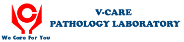 V-Care Logo